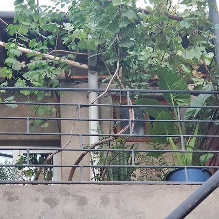 2 Santeli Turn Guest House Tbilisi Exterior photo
